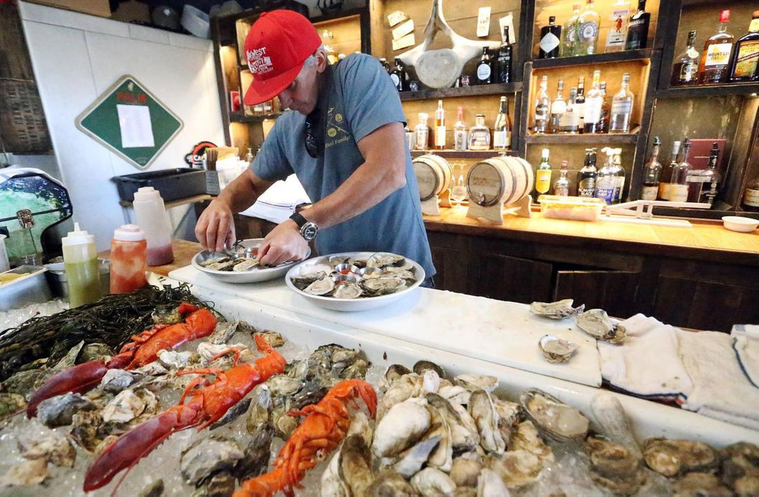 Oyster Recycling Program PSA: Part III