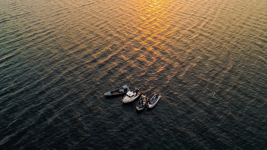 The Oyster Farmers Official Release!