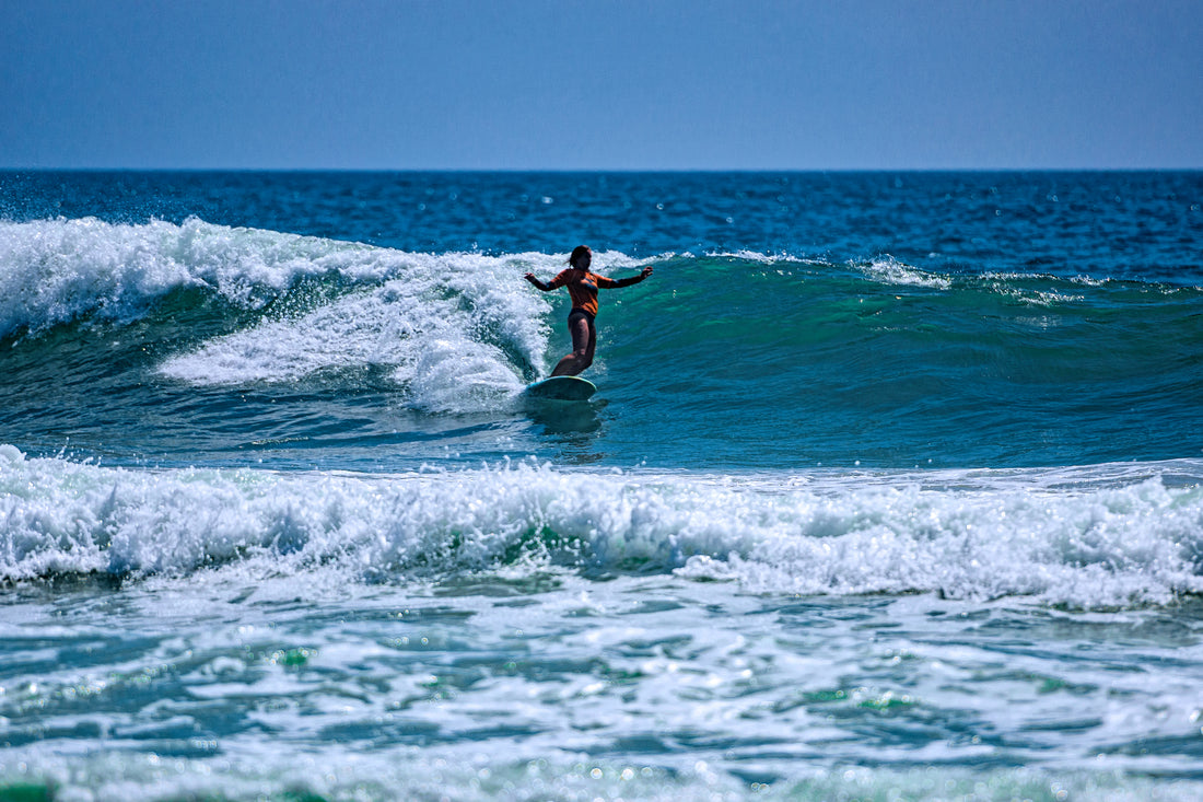 Coquina Jam raises $88,000!