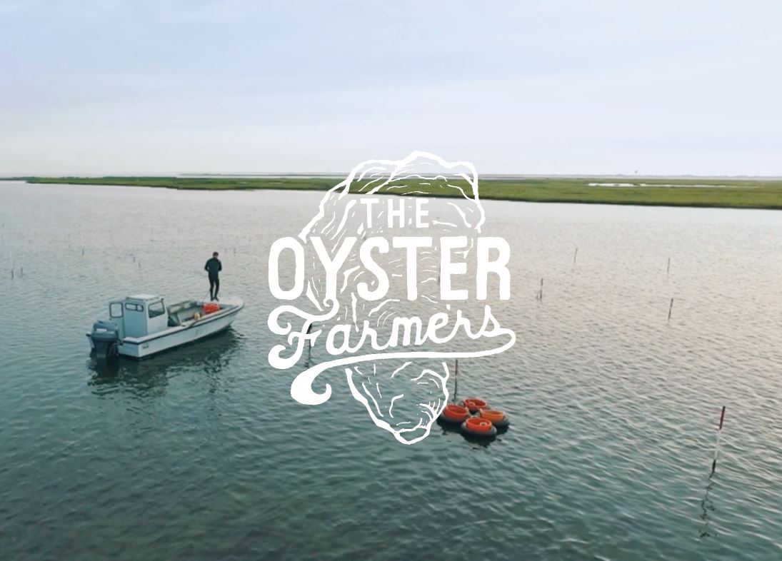 The Oyster Farmers - Restocked / '18 Plans