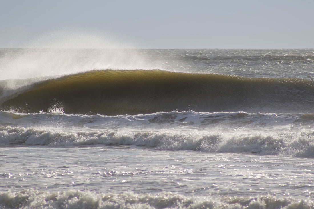 Hermine '16