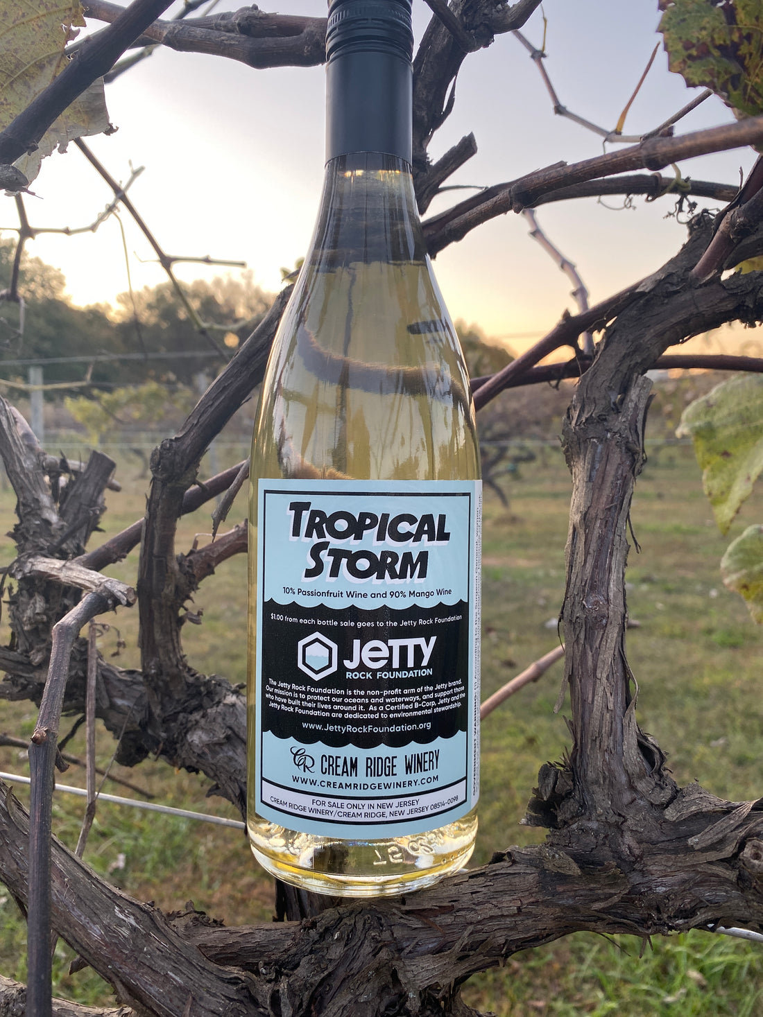 Tropical Storm: Batch #2