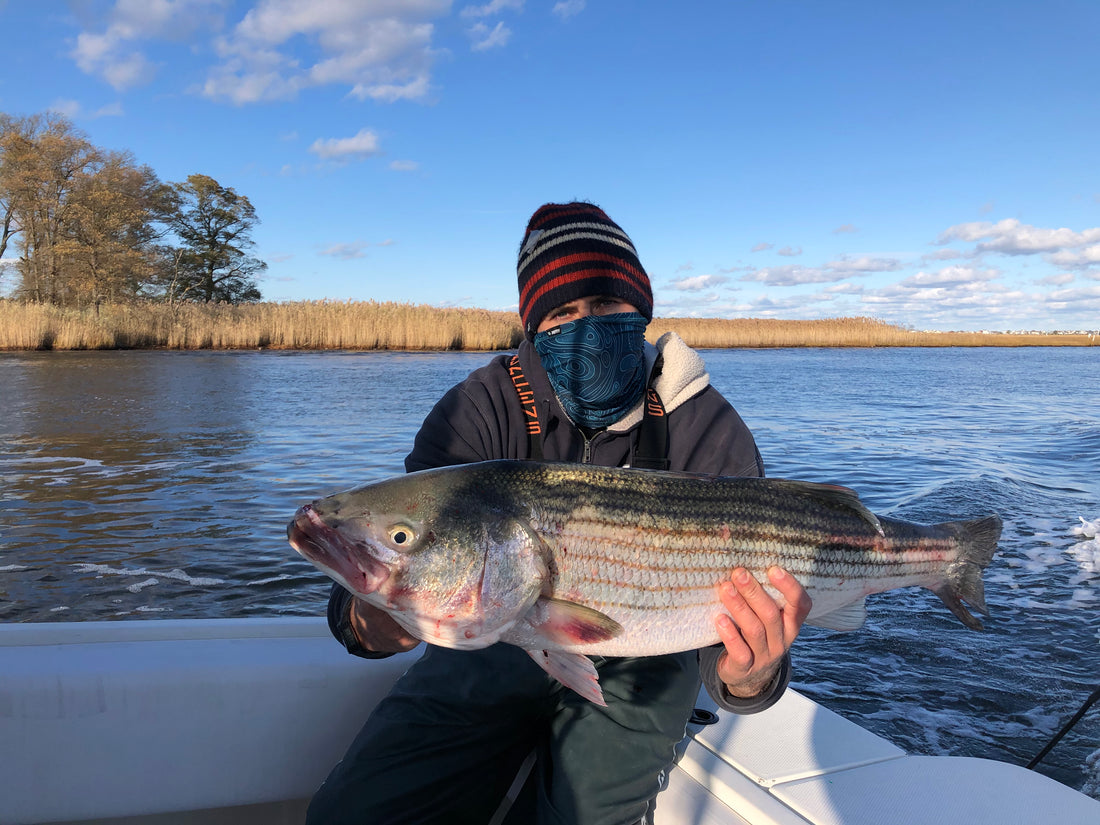 Back Bay Gaiters