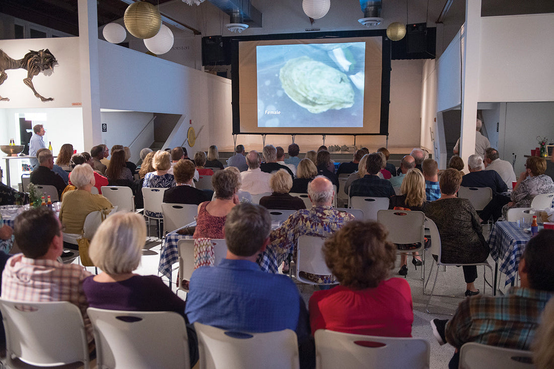 3rd Annual Shellfish Soiree