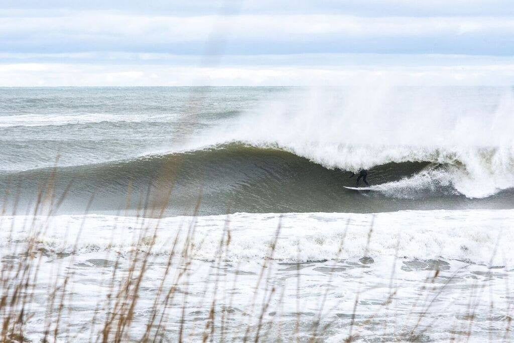 Hounding the Banks