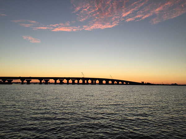 Bridging the Community