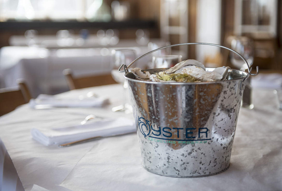 Oyster Recycling Program PSA: Part I