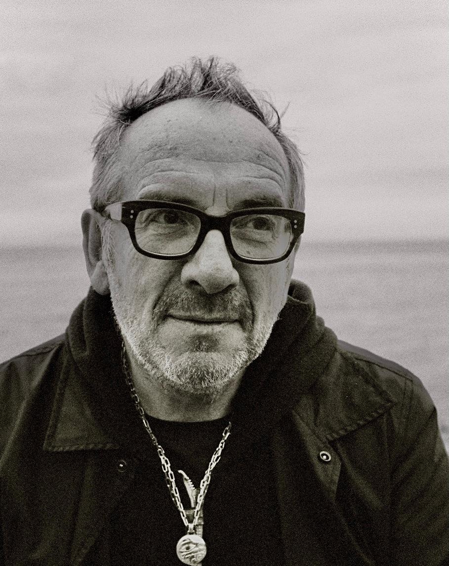 "Magnificent Hurt" by Elvis Costello