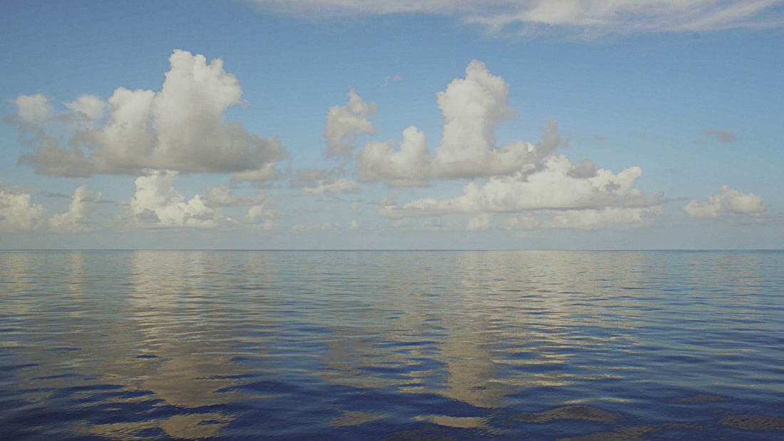 Coquina Jam Postponed to 8/2