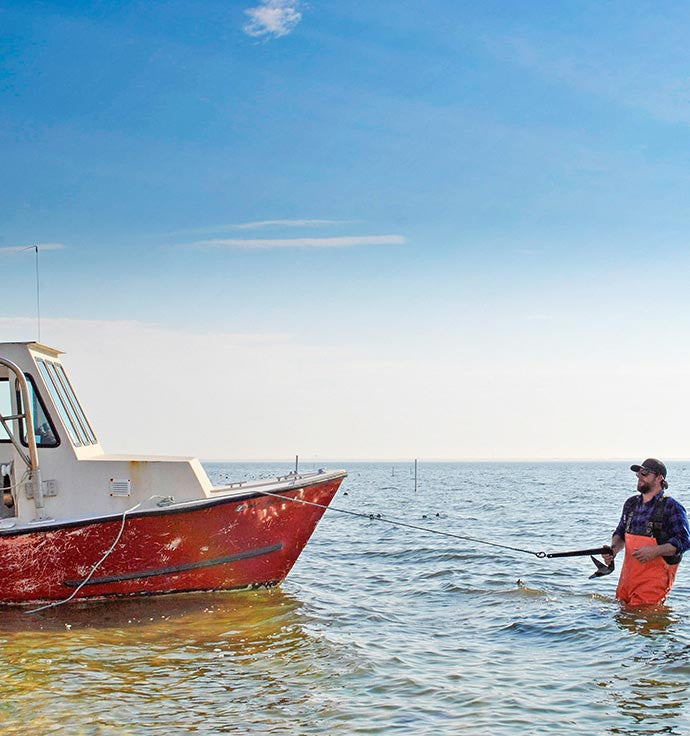 Screenings: The Oyster Farmers