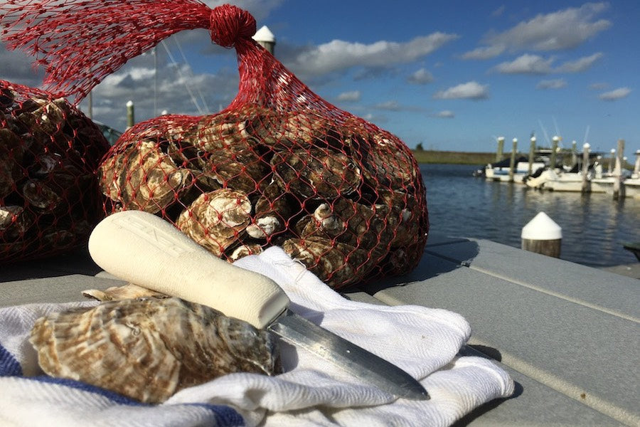 The Oyster Farmers on Cable VOD!