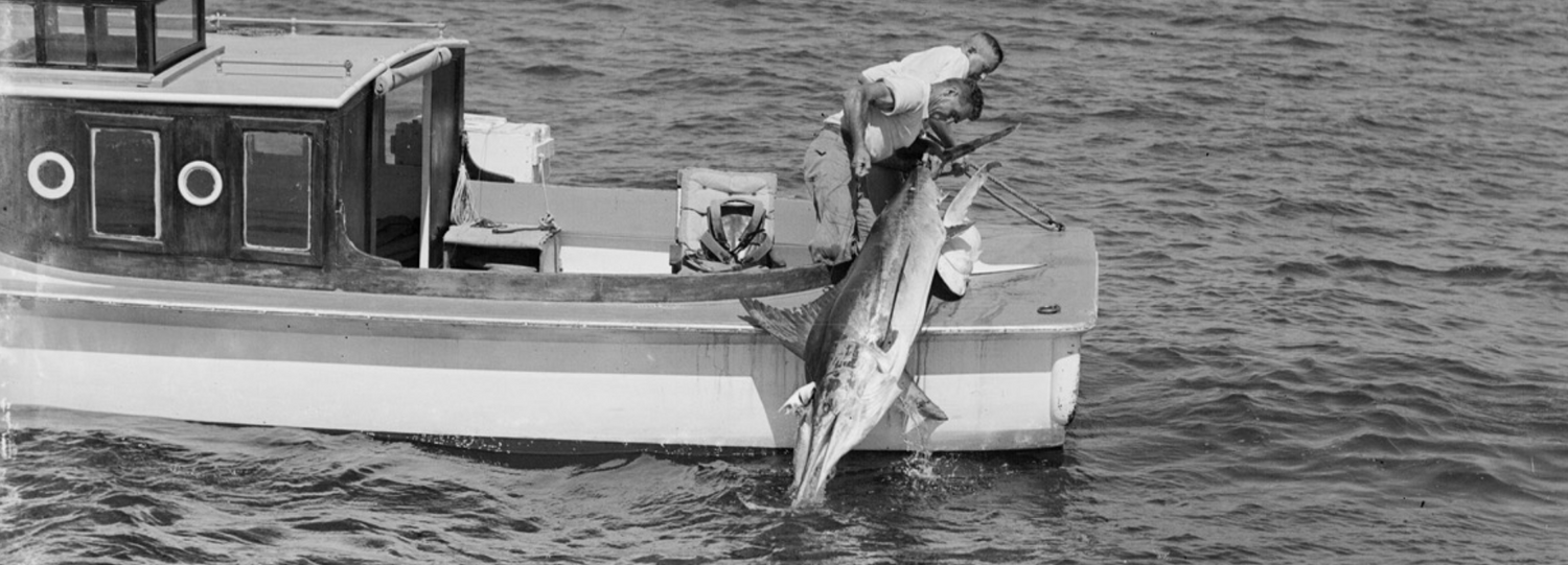 Marlin & Tuna Club